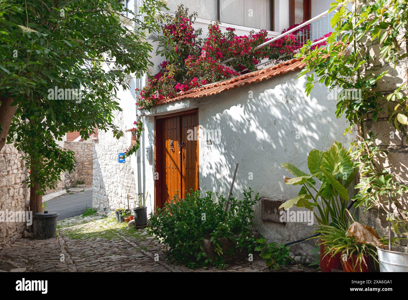 Pittoresco vicolo illuminato dal sole caratterizzato da una tradizionale casa di villaggio mediterranea adornata da vibranti fiori. Villaggio di Laneia. Distretto di Limassol, Cipro Foto Stock