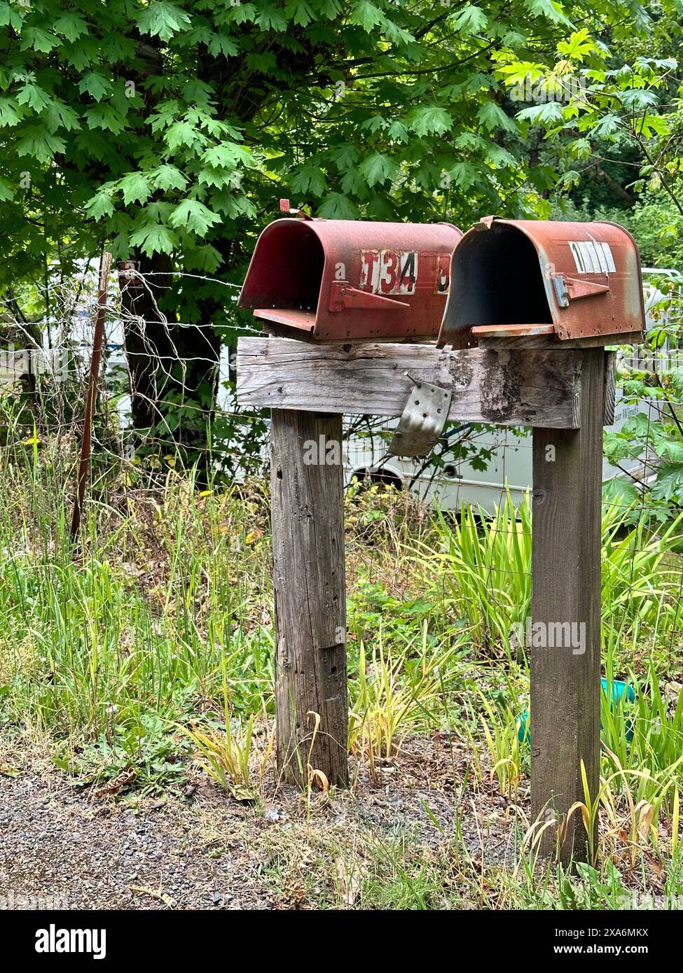 Una cassetta postale in legno invecchiata si trova in un campo erboso Foto Stock