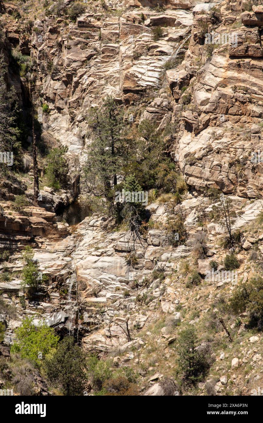 Geologia lungo la Sky Island Scenic Byway, Mount Lemmon Highway, Hitchcock Highway, in primavera, Arizona (USA) Sunshineage Deying, background, Foto Stock