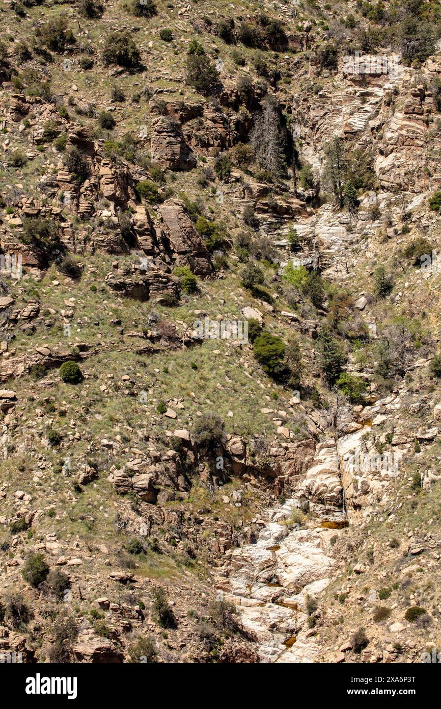 Geologia lungo la Sky Island Scenic Byway, Mount Lemmon Highway, Hitchcock Highway, in primavera, Arizona (USA) Sunshineage Deying, background, Foto Stock