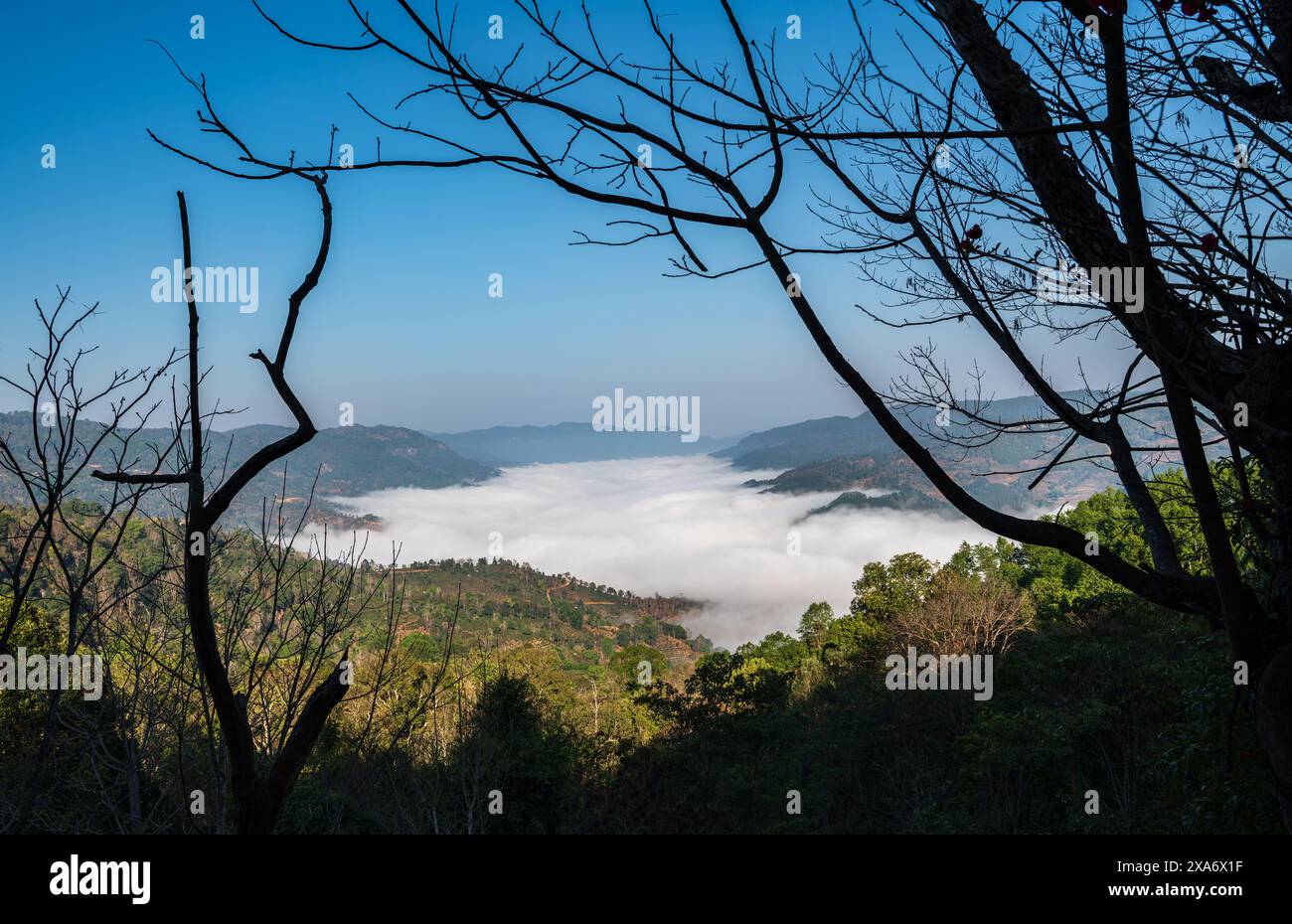 Le montagne nebbiose e gli alberi sotto il cielo azzurro Foto Stock