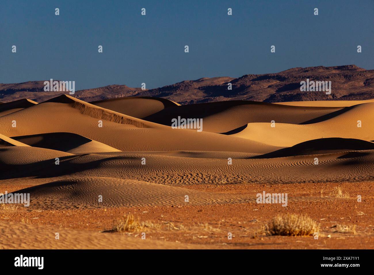 Africa, Marocco, Zagora, Sahara, Erg Lehoudi, dune di sabbia di fronte a colline rocciose Foto Stock