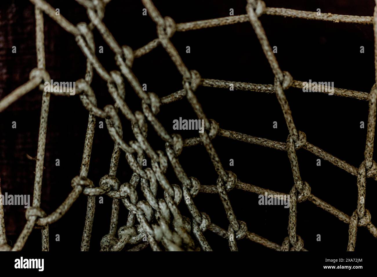 Ragnatela con corde e centro della sfera rossa Foto Stock