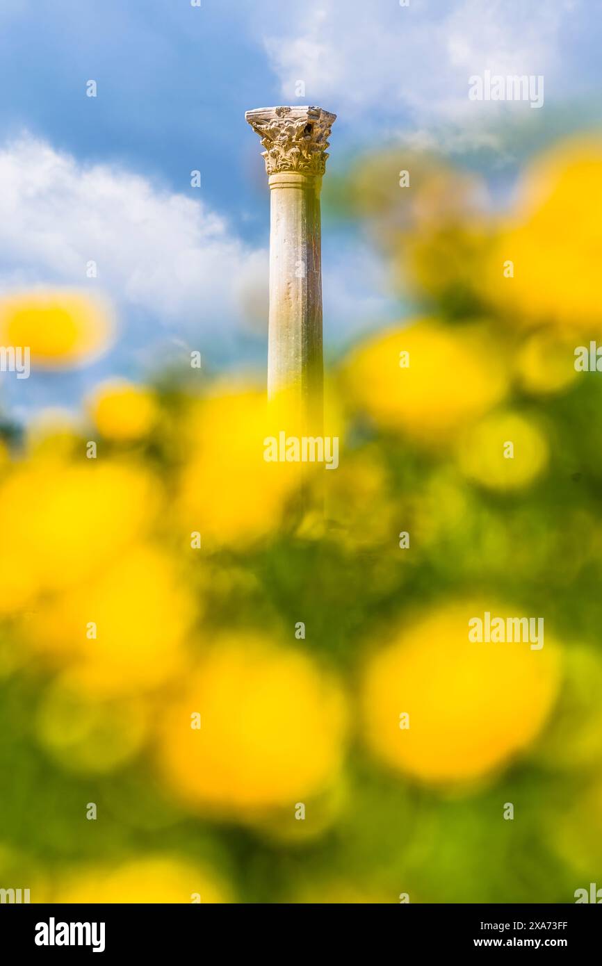 Sito archeologico, Kourion, distretto di Akrotiri, Repubblica di Cipro Foto Stock