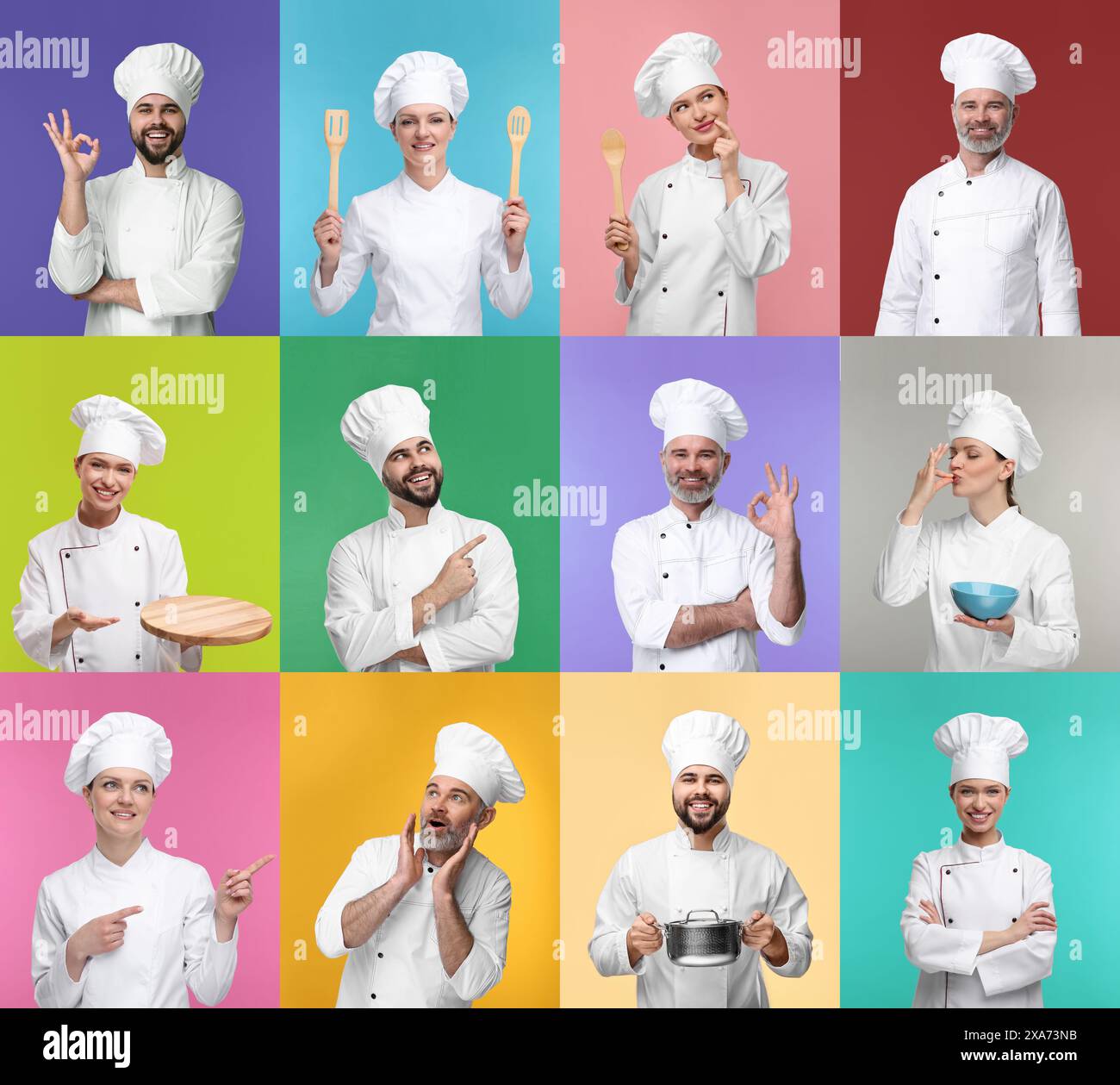 Collage con foto di chef professionisti su sfondi di colore diverso Foto Stock