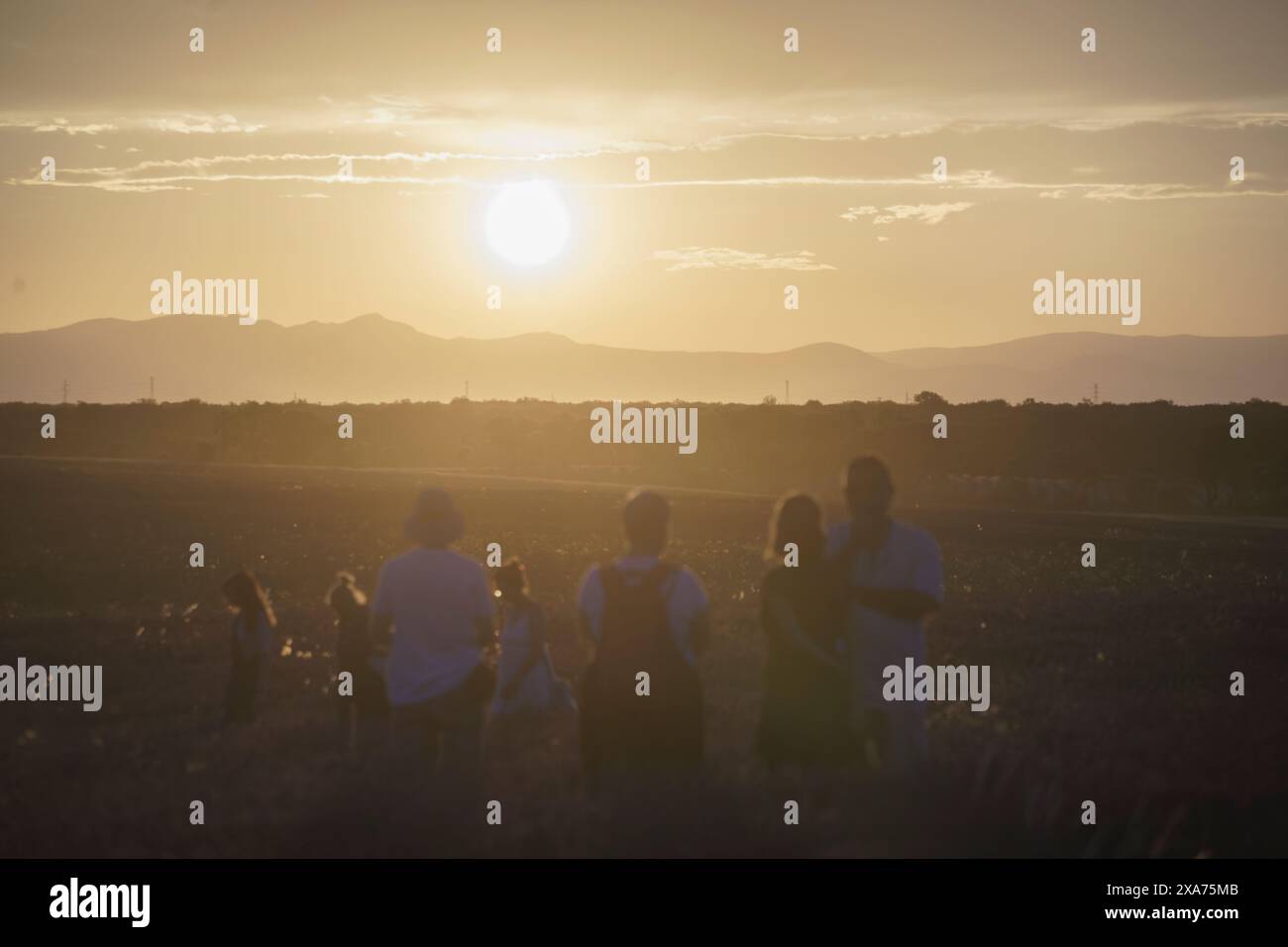 Un gruppo di individui è sparso in un campo, in piedi come il sole Foto Stock