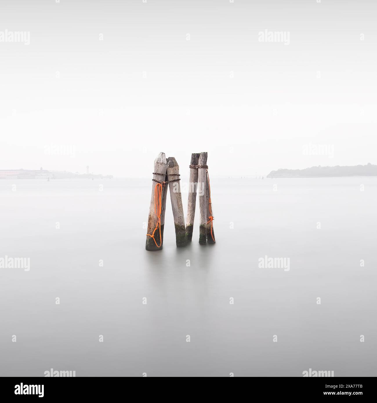 Vista di pali di legno con corde arancioni nella laguna di Venezia, Pellestrina, Veneto, Italia, Europa Foto Stock