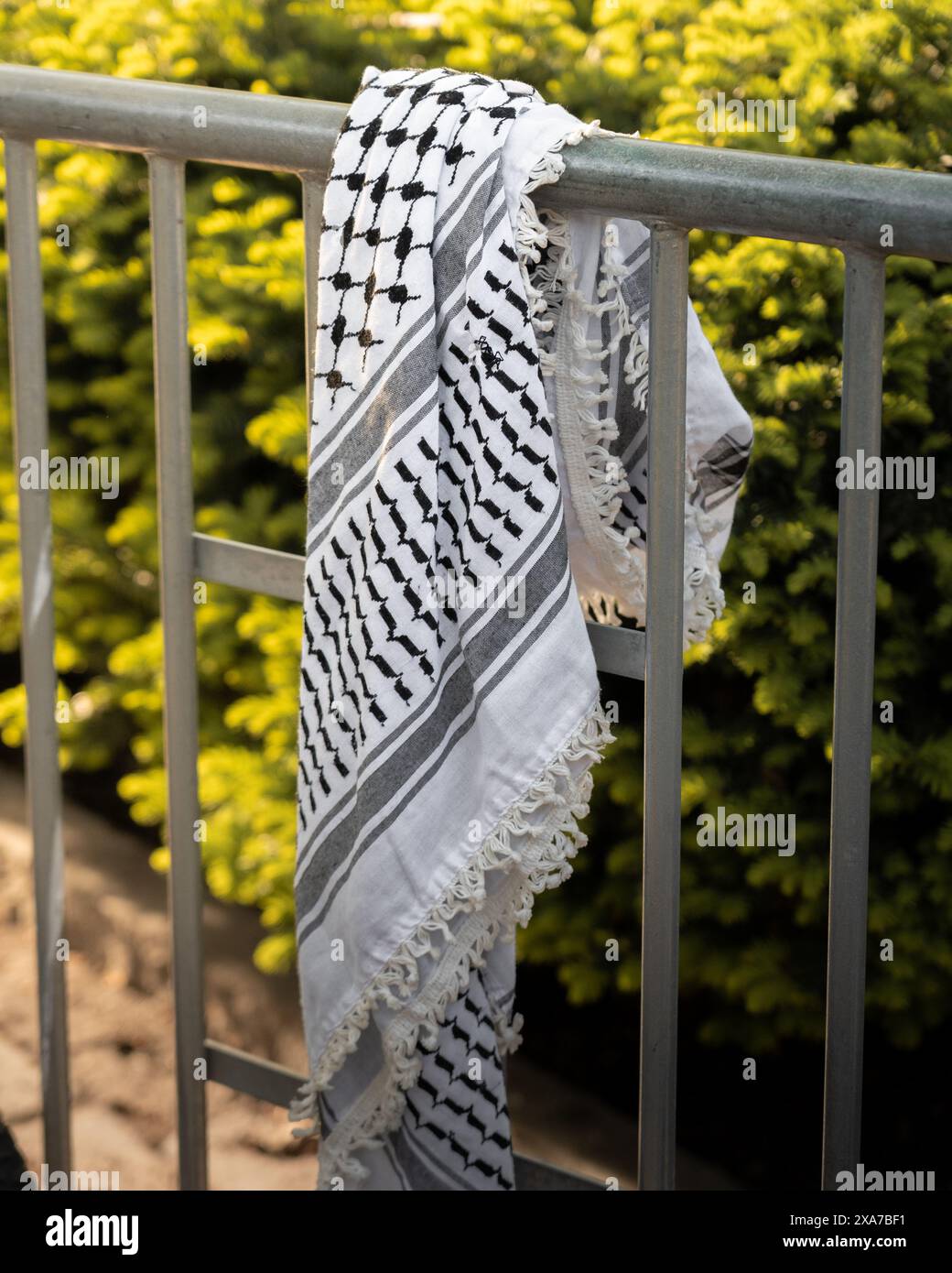 Il keffiyeh palestinese bianco si è mostrato come un segno di protesta all'Università della Pennsylvania Foto Stock