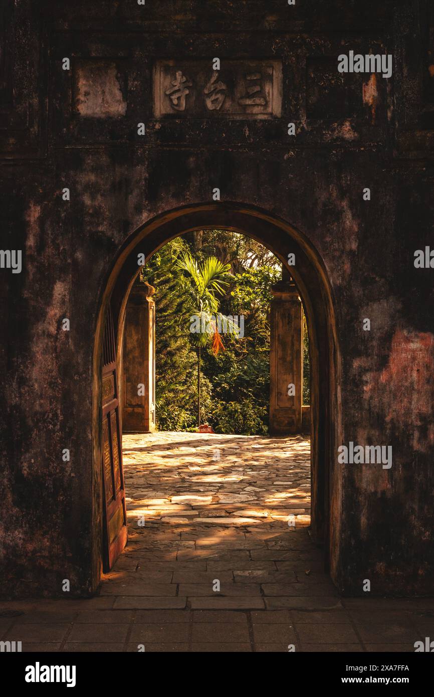 arco nero tra alberi ed erba in un cortile Foto Stock