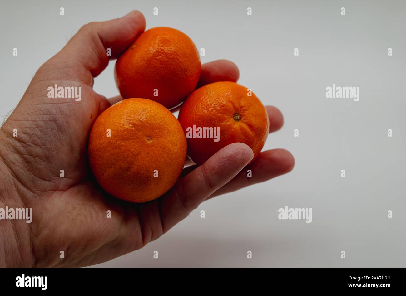 Mani che tengono tre mandarini su sfondo chiaro Foto Stock