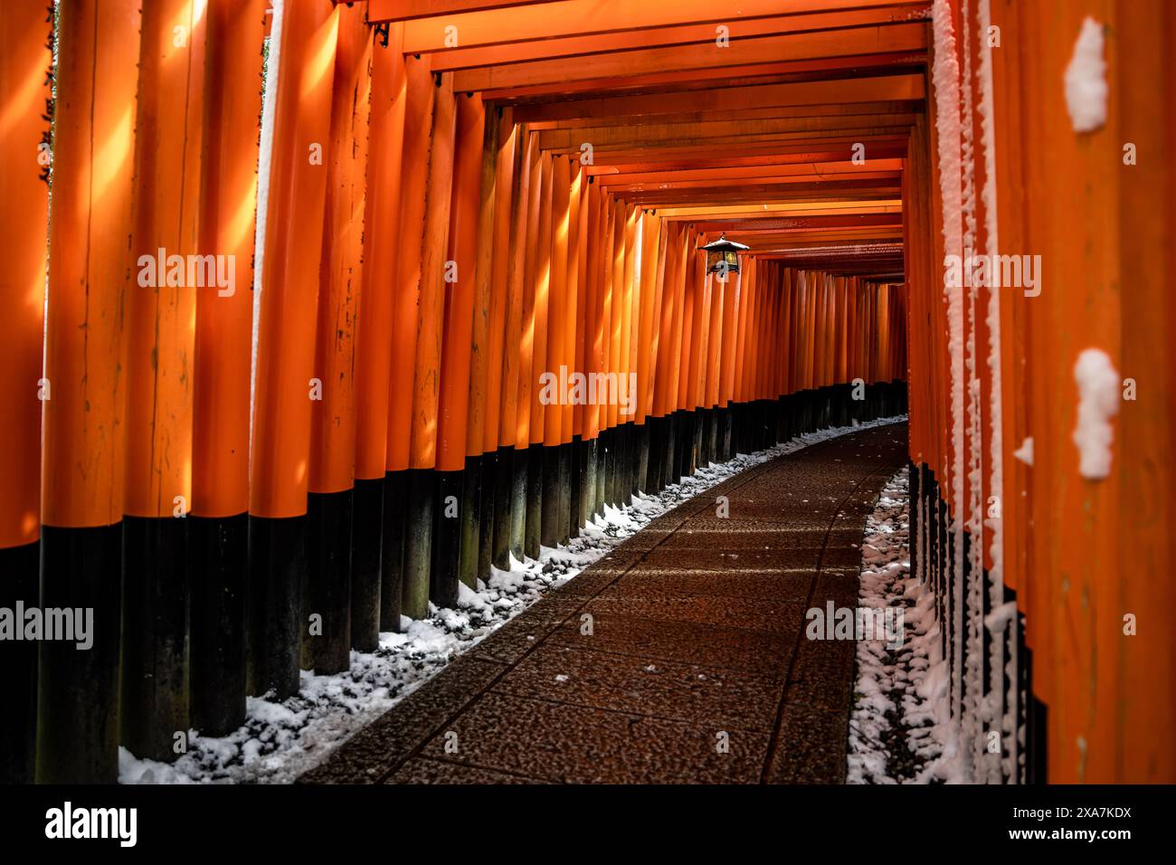 Una rara neve invernale al Torii Gate Tunnel al Santuario di Fushimi Inari a Kyoto in Giappone. Travi arancioni e nere con tradizionali Lanterne giapponesi Foto Stock