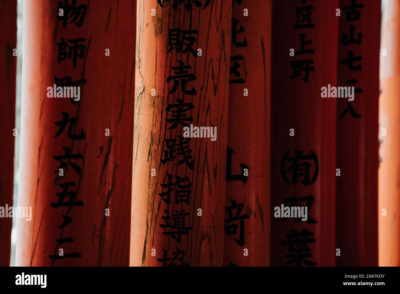 Il tunnel della porta di Torii si trova al Santuario di Fushimi Inari a Kyoto in Giappone. Travi arancioni e nere con caratteri giapponesi tradizionali. Foto Stock