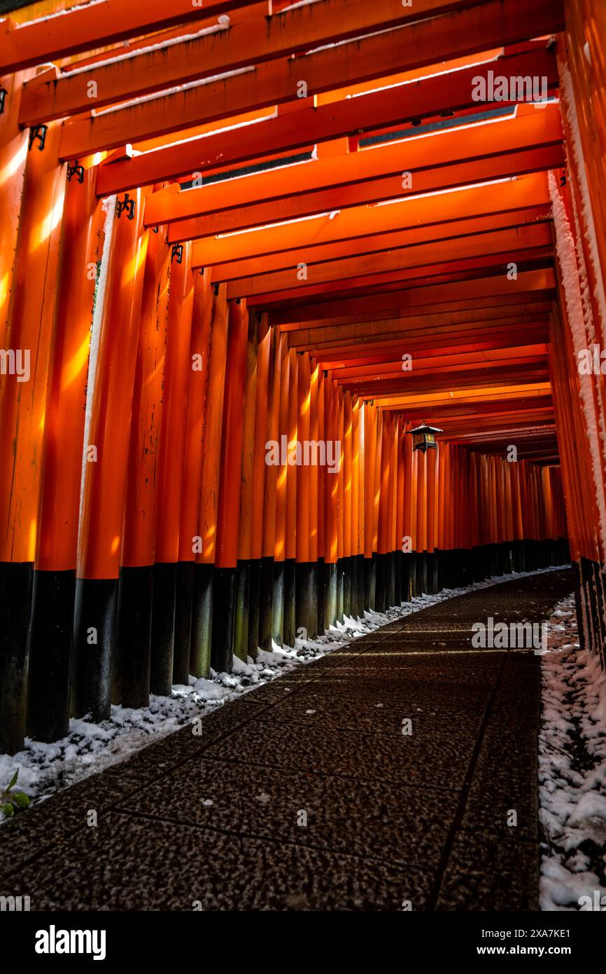 Una rara neve invernale al Torii Gate Tunnel al Santuario di Fushimi Inari a Kyoto in Giappone. Travi arancioni e nere con tradizionali Lanterne giapponesi Foto Stock