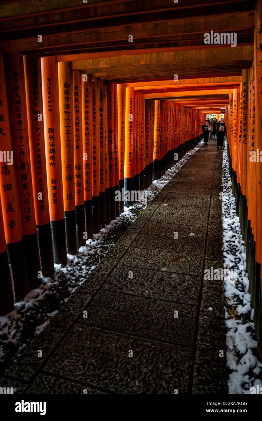 Le due giovani donne giapponesi in un abbigliamento formale invernale che posano di fronte al tunnel della porta Torii al Santuario Fushimi Inari a Kyoto in Giappone. Foto Stock