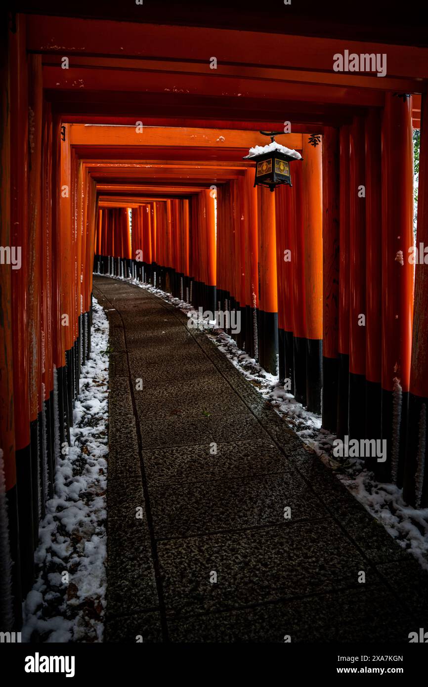 Una rara neve invernale al Torii Gate Tunnel al Santuario di Fushimi Inari a Kyoto in Giappone. Travi arancioni e nere con tradizionali Lanterne giapponesi Foto Stock