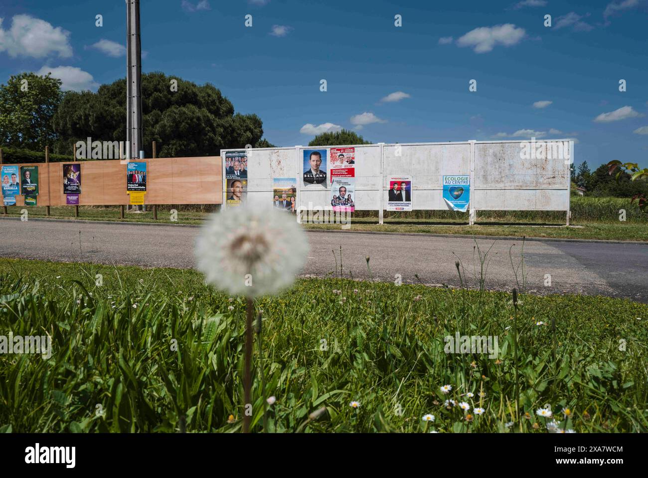 Manifesti elettorali europei, all'ingresso del villaggio di Gimat. Illustrazione dei cartelli elettorali agli ingressi dei villaggi del dipartimento di Tarn-et-Garonne. Raphael Glucksmann (PS/PP), Francois-Xavier Bellamy (LR), Leon Deffontaines (PCF), Valerie Hayer (Renaissance), Marie Toussaint (EELV), Jordan Bardella (RN), Marion Marechal (conquista! ), Manon Aubry (LFI), Helene Thouy (parti animaliste), Jean Lassalle (Alliance rurale), Jean-Marc governatori ( Ecologie au center), Nathalie Arthaud (lo), Pierre Larrouturou (Nouvelle donne), Florian Philippot (Les Patriotes), Selma Labib (N Foto Stock