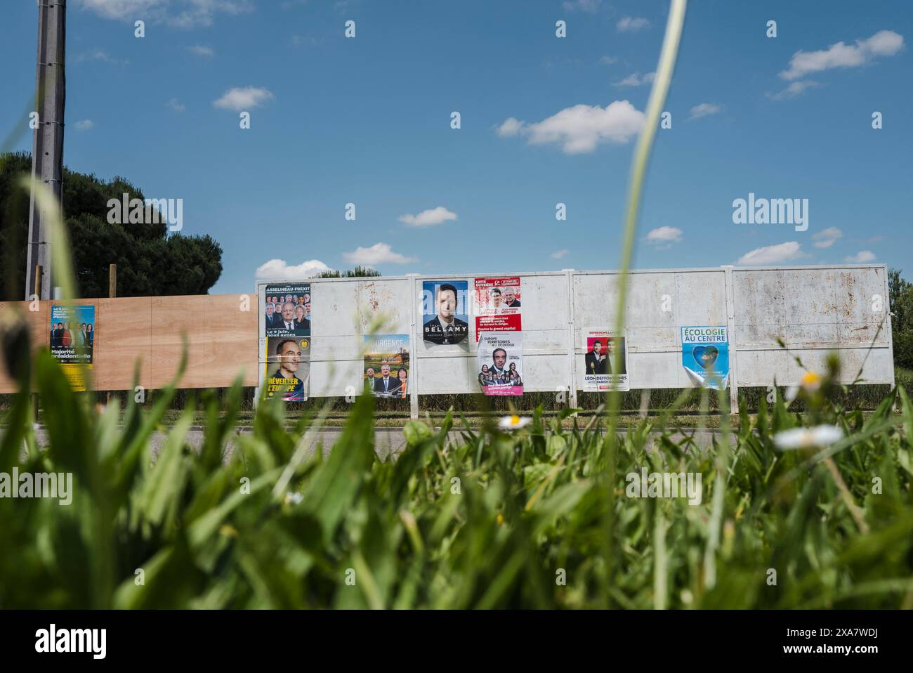 Manifesti elettorali europei, all'ingresso del villaggio di Gimat. Illustrazione dei cartelli elettorali agli ingressi dei villaggi del dipartimento di Tarn-et-Garonne. Raphael Glucksmann (PS/PP), Francois-Xavier Bellamy (LR), Leon Deffontaines (PCF), Valerie Hayer (Renaissance), Marie Toussaint (EELV), Jordan Bardella (RN), Marion Marechal (conquista! ), Manon Aubry (LFI), Helene Thouy (parti animaliste), Jean Lassalle (Alliance rurale), Jean-Marc governatori ( Ecologie au center), Nathalie Arthaud (lo), Pierre Larrouturou (Nouvelle donne), Florian Philippot (Les Patriotes), Selma Labib (N Foto Stock