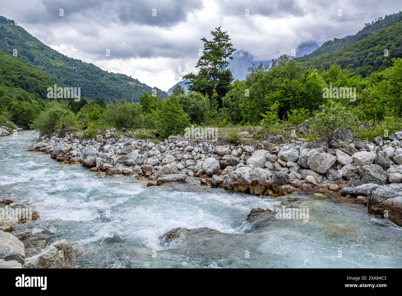 valle del fiume trees Foto Stock