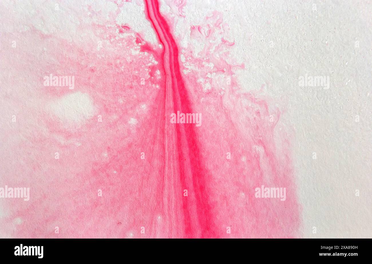 Gocce di colore blu-rosso brillante. Illustrazione astratta su sfondo bianco. Banner per testo, elemento grunge per decorazione. Foto Stock