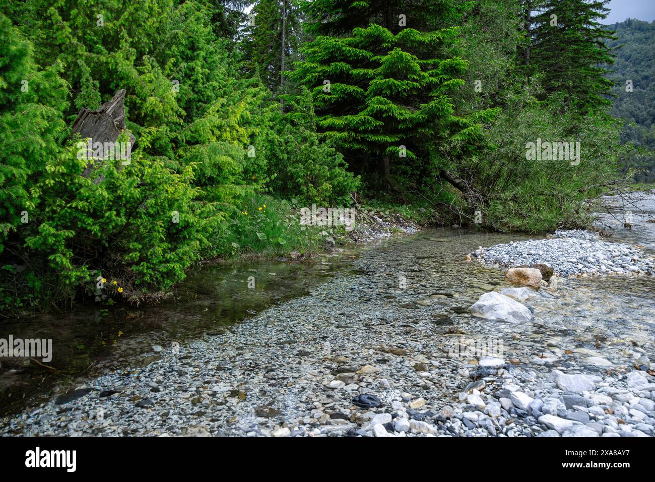 pietre laterali del fiume Foto Stock