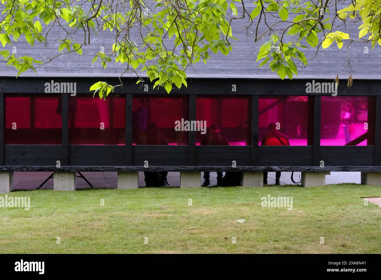 Serpentine South, Londra, Regno Unito. 5 giugno 2024. Serpentine Pavilion 2024, studi di messa dell'architetto coreano Minsuk Cho. Crediti: Matthew Chattle/Alamy Live News Foto Stock