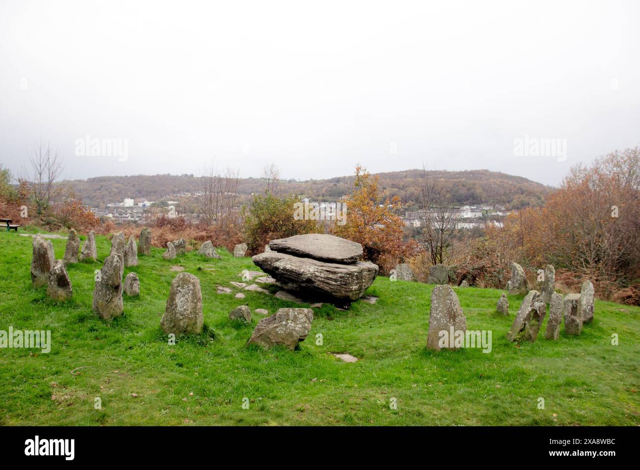 The Rocking Stone on Coedpenmaen Common era un luogo di incontro pubblico a Pontypridd dai cartisti ai druidi, anche il dottor William Price si rivolse al pubblico Foto Stock