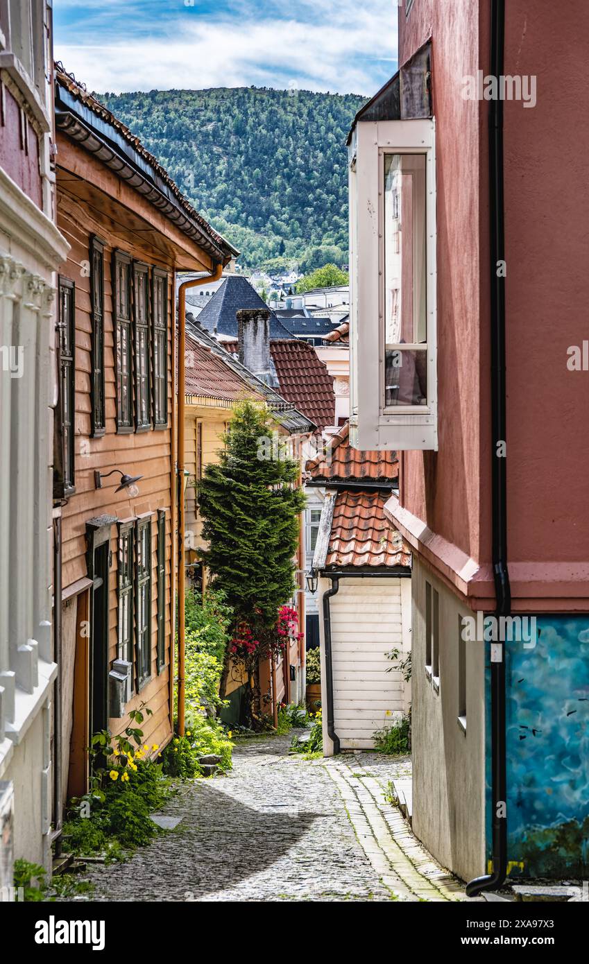 Strade con case tradizionali a Bergen, Norvegia Foto Stock