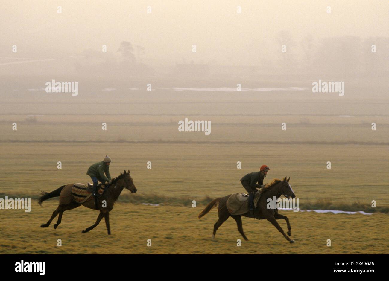 Lambourn, Berkshire, Inghilterra anni '1990 Regno Unito. Galoppi mattutini, fantini che danno ai loro cavalli da corsa stabili esercizio fisico quotidiano Berkshire Downs. 1995 HOMER SYKES Foto Stock