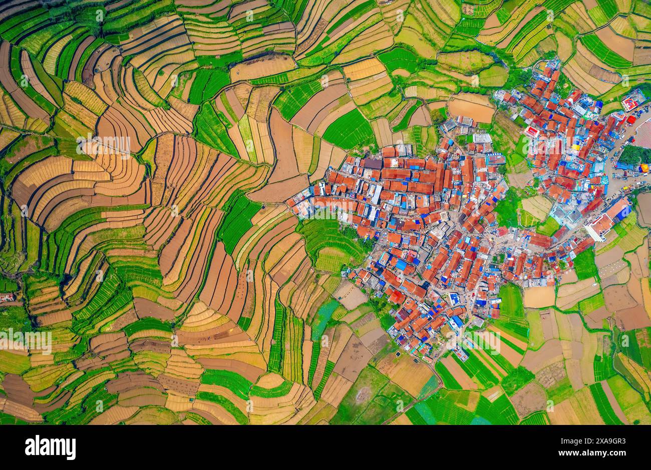 Vista dall'alto del villaggio di Poombarai accoccolato tra campi terrazzati e vegetazione lussureggiante. Sorge sulle colline Palani di Kodaikanal, in India, e offre delle foto Foto Stock