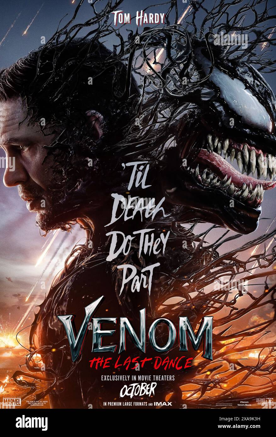 Venom: The Last Dance (2024) diretto da Kelly Marcel e interpretato da Tom Hardy, Juno Temple e Alanna Ubach. Eddie e Venom sono in fuga. Cacciati da entrambi i loro mondi e con la rete in arrivo, i due sono costretti a prendere una decisione devastante che porterà giù le tende sull'ultimo ballo di Venom ed Eddie. US un foglio poster ***SOLO PER USO EDITORIALE***. Credito: Uscita BFA / Sony Pictures Foto Stock