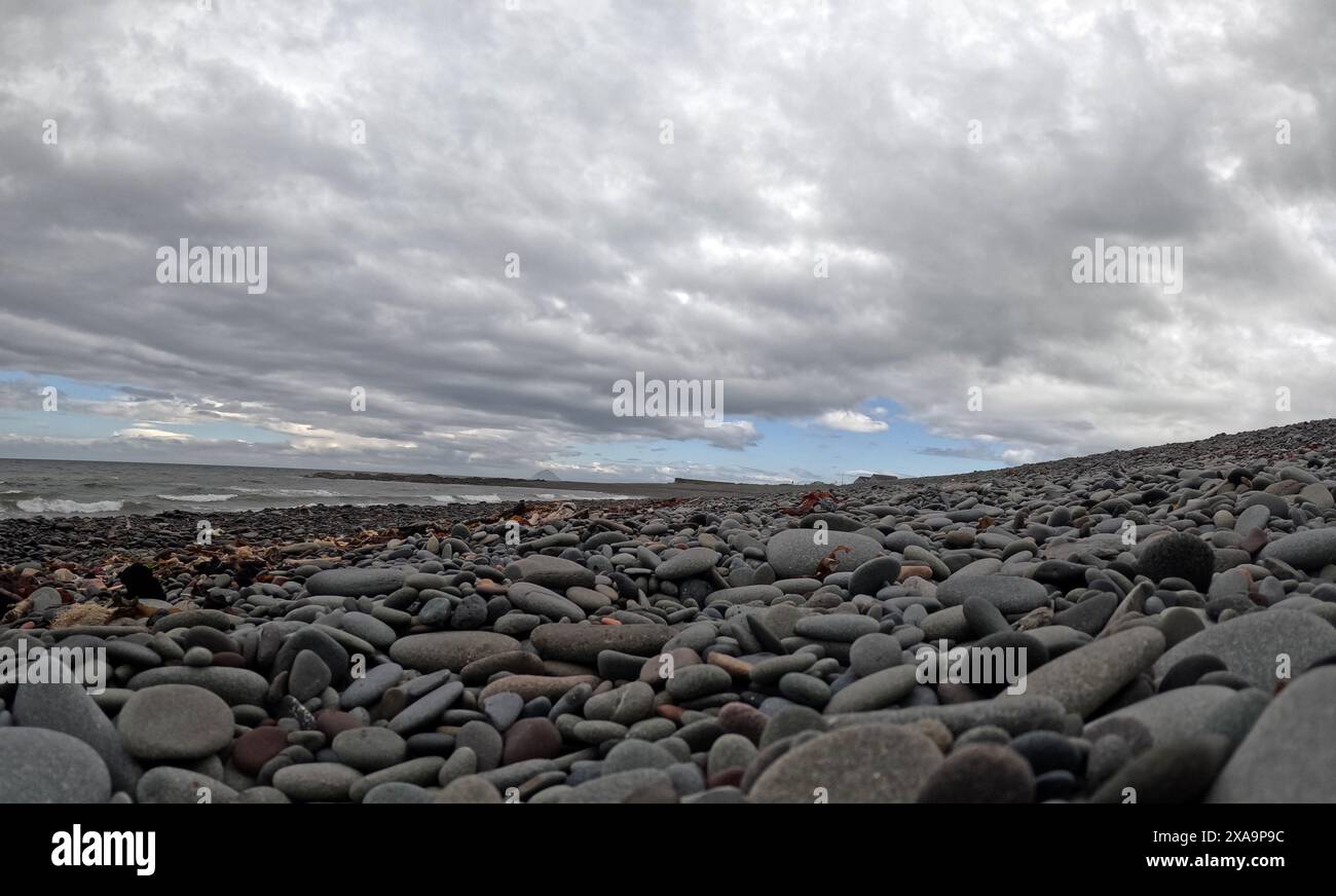 Una spiaggia rocciosa sotto il cielo nuvoloso con foglie sparse a Ballantrae, Ayrshire, Scozia, Regno Unito Foto Stock