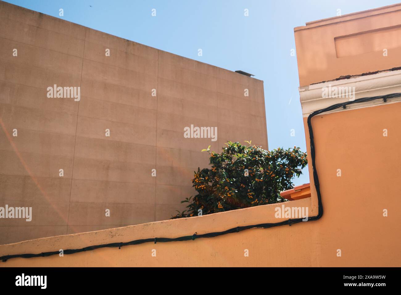 Un edificio giallo con un albero che emerge dal suo tetto Foto Stock