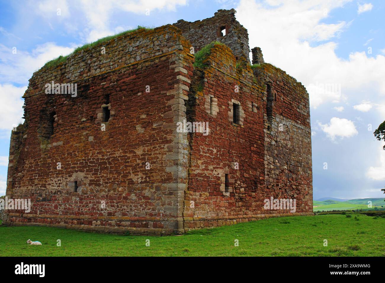 Le rovine del castello di Cessford si trovano tra Jedburgh e Kelso nei confini scozzesi. Fu una roccaforte per la famiglia Ker, abbandonata nel 1650. Foto Stock