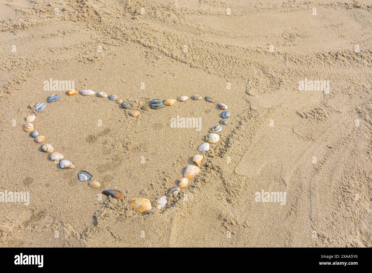 Cuore fatto di conchiglie di mare disposte su sabbia marina Foto Stock