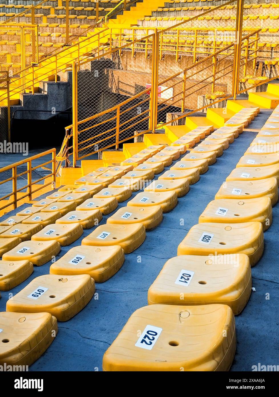 Le file di posti gialli sono disposte a stretto contatto in uno stadio vuoto Foto Stock