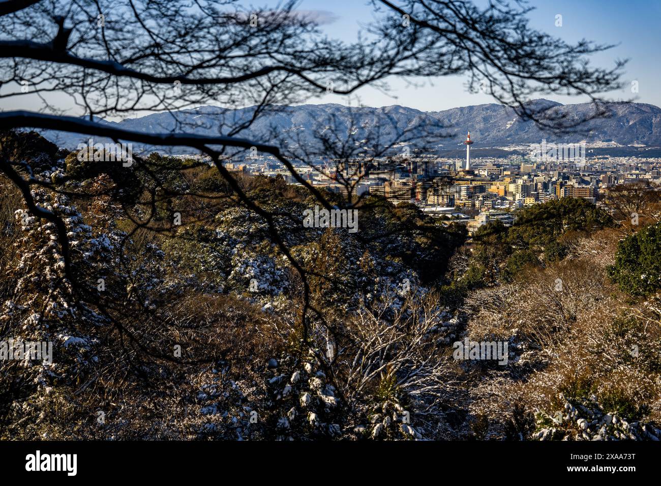 I rami senza foglie sullo sfondo del paesaggio urbano di Kyoto. Giappone Foto Stock