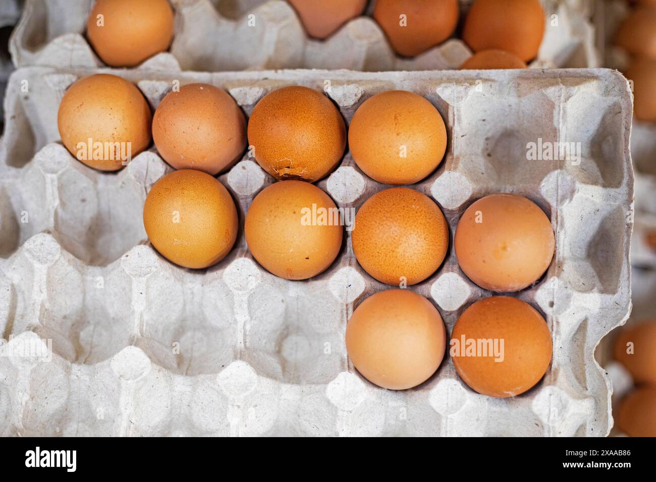 cuocere le uova di pollo in contenitori di cartone sul bancone di un negozio. crisi economica Foto Stock