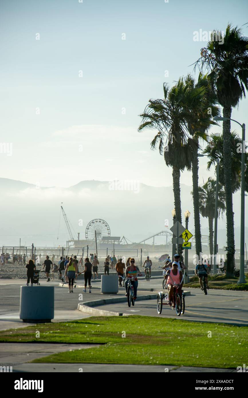 Un gruppo di individui che vanno in bicicletta e si trovano su una strada costeggiata da lussureggianti palme Foto Stock