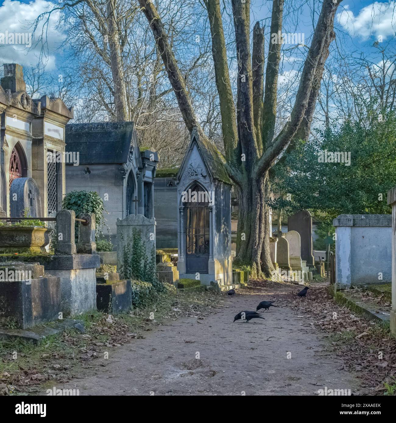 Una vista panoramica del cimitero Pere-Lachaise, vicolo acciottolato con tombe in inverno a Parigi, in Francia Foto Stock