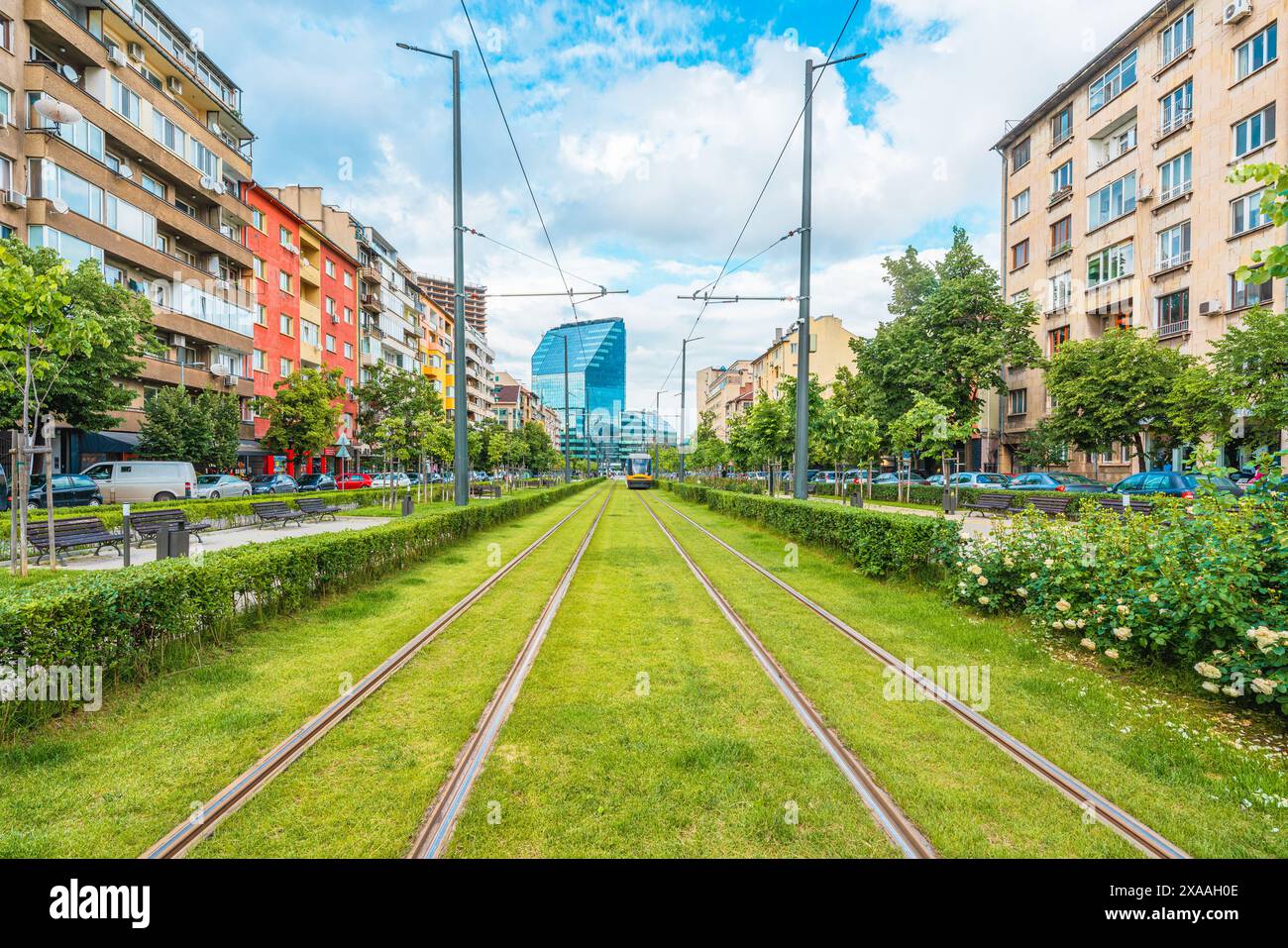 Vista di un moderno Boulevard con tramvie ed edifici a Sofia, Bulgaria Foto Stock