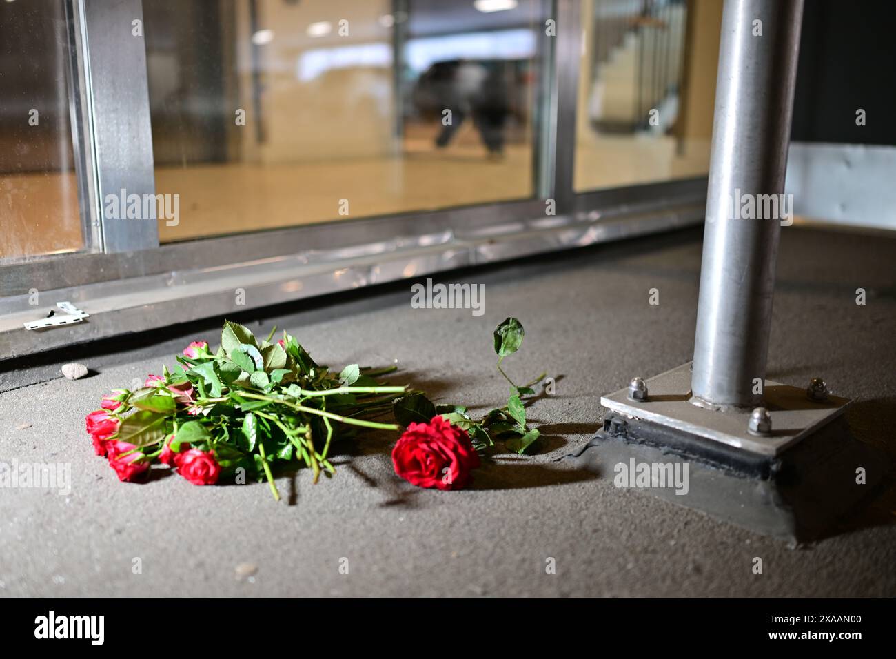 Rose in piazza Selma Lagerlöfs a Gothenburg dopo che il famoso rapper C. Gambino è stato ucciso martedì sera in un parcheggio a Gothenburg, Svezia, il 5 giugno 2024. Foto: Björn Larsson Rosvall/TT/codice 9200 credito: TT News Agency/Alamy Live News Foto Stock