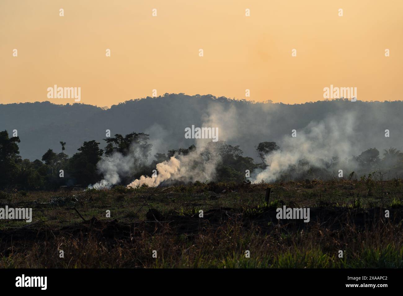 Deforestazione illegale degli incendi nella foresta pluviale amazzonica per aprire terreni all'agricoltura. Vista aerea degli alberi della foresta. Concetto di co2, ambiente, ecologia Foto Stock