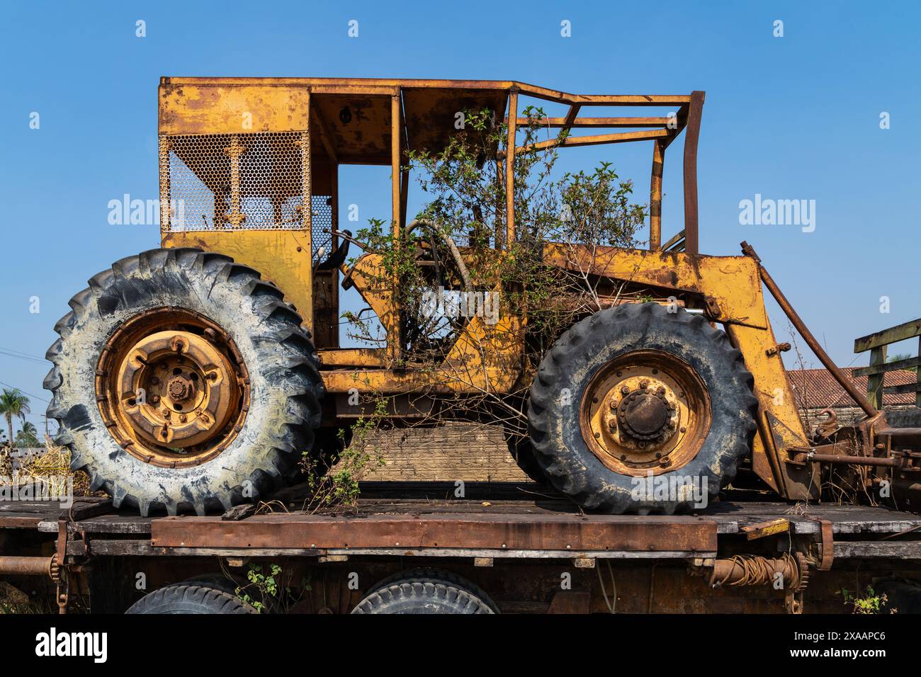 Trattore utilizzato nella deforestazione della foresta pluviale amazzonica sequestrato da IBAMA, agenzia ambientale brasiliana. Concetto di ambiente, ecologia, clima Foto Stock