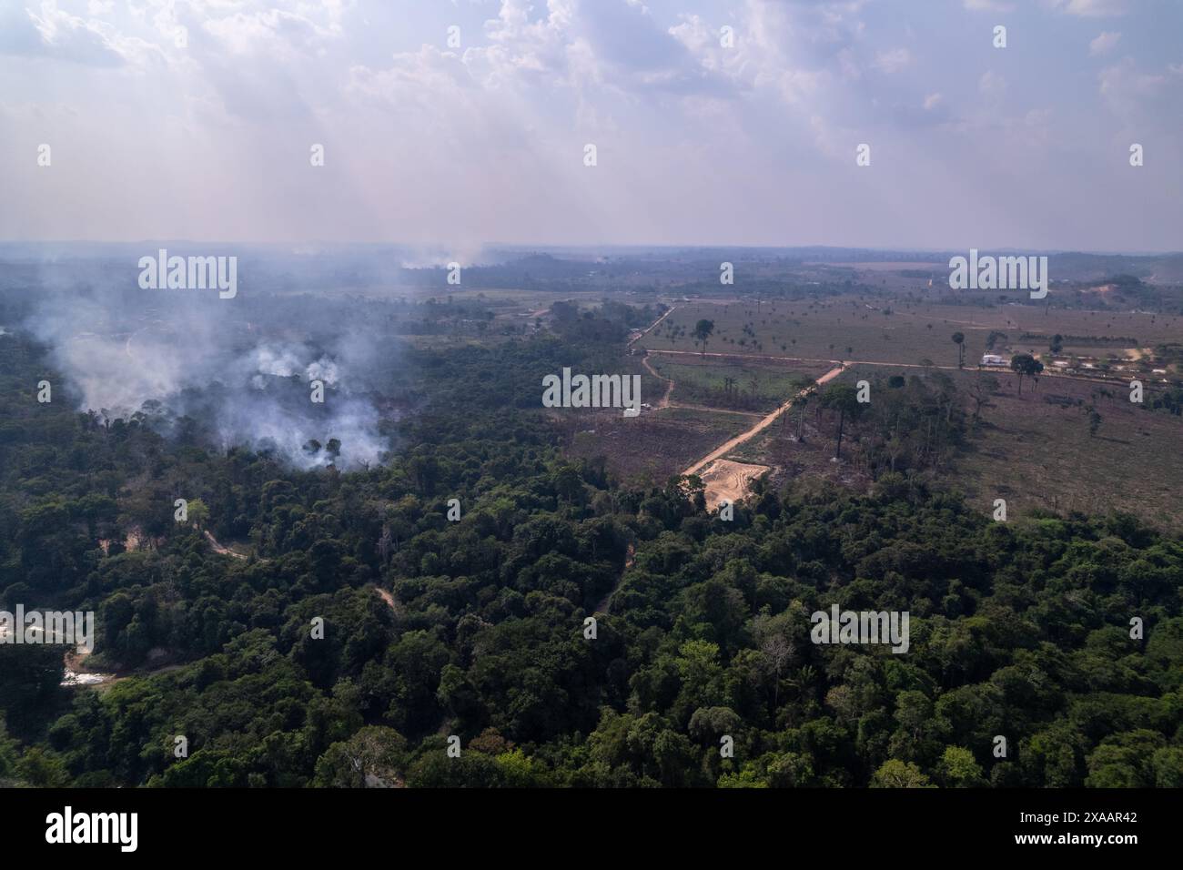 Deforestazione illegale degli incendi nella foresta pluviale amazzonica per aprire terreni all'agricoltura. Vista aerea degli alberi della foresta. Concetto di co2, ambiente, ecologia Foto Stock