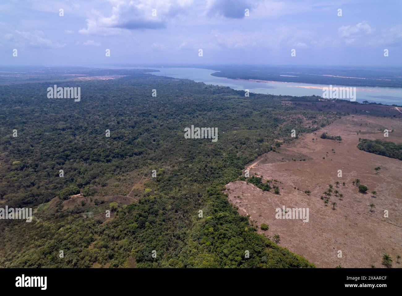 Vista aerea della foresta pluviale amazzonica che deforesta per aprire terreni per bestiame e agricoltura vicino al fiume Tapajos. Ambiente, ecologia, riscaldamento globale Foto Stock