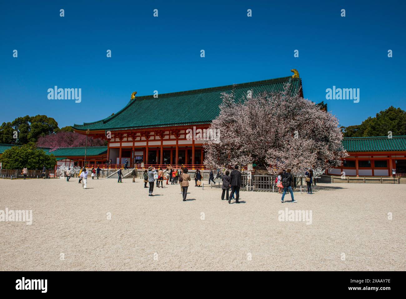 Parco nel Santuario Heian Jingu, Kyoto, Honshu, Giappone, Asia Foto Stock