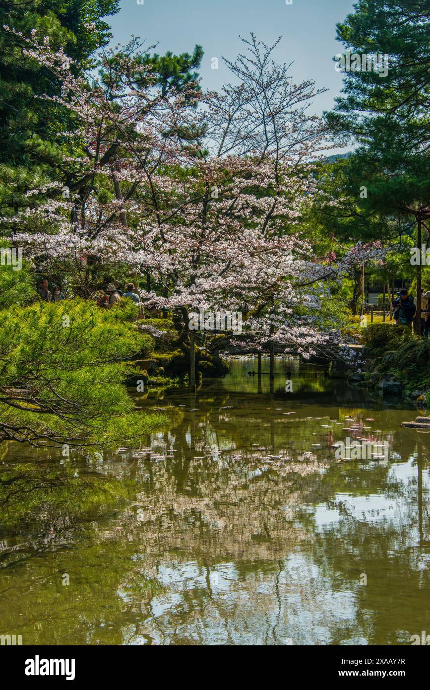 Parco Okazaki nel Santuario Heian Jingu, Kyoto, Honshu, Giappone, Asia Foto Stock