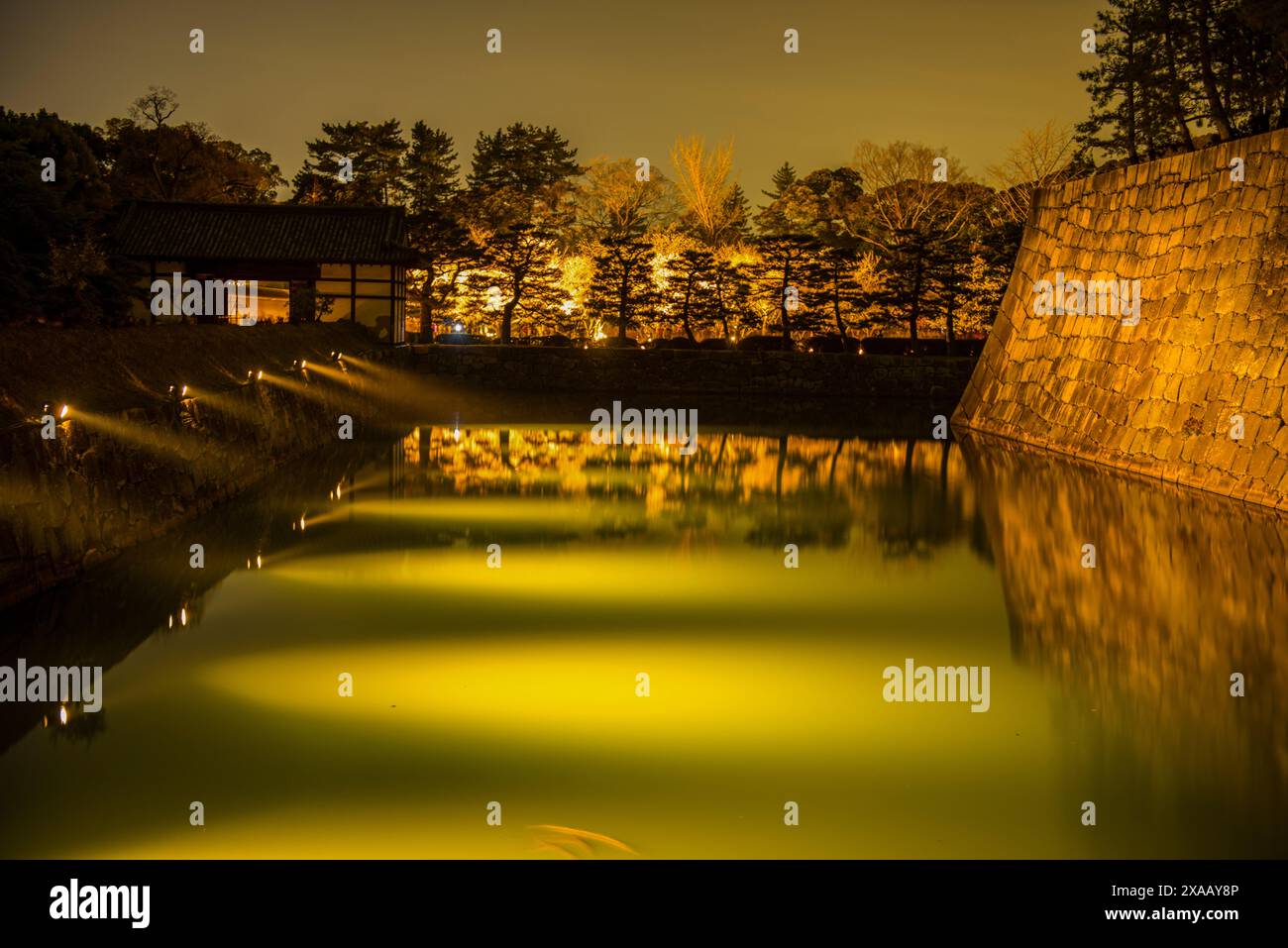 Palazzo Imperiale di Kyoto illuminato di notte durante la fioritura dei ciliegi, Kyoto, Honshu, Giappone, Asia Foto Stock