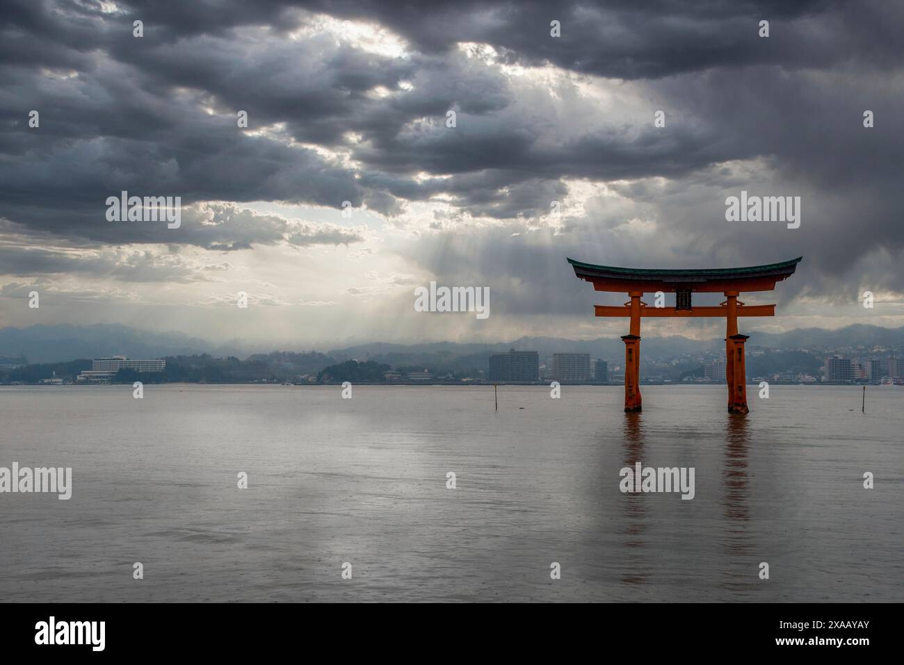 Famosa porta torii galleggiante in acqua, sito patrimonio dell'umanità dell'UNESCO, Miyajima, Giappone, Asia Foto Stock