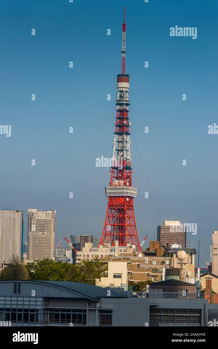 Vista di Tokyo con la Tokyo Tower, dalla Mori Tower, Roppongi Hills, Tokyo, Honshu, Giappone, Asia Foto Stock